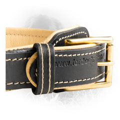 Brass Buckle Newfoundland Dog Leather Collar