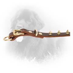 Brass Hardware Newfoundland Dog Leather Collar