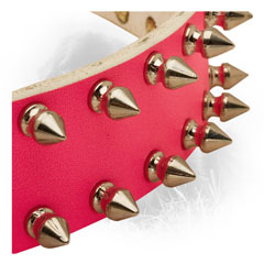 Nickel Spikes on Newfoundland Collar 