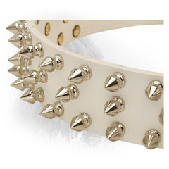 Nickel Spikes on Newfoundland Leather Collar