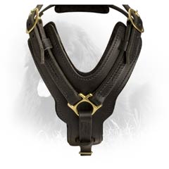 Comfortable Leather Harness for Attack/Agitation  Training