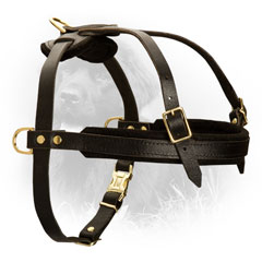 Leather Harness for Sporty Dogs