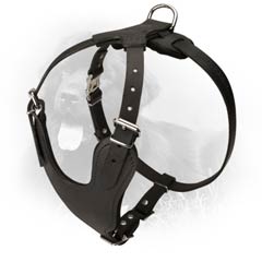 Leather Newfoundland Harness with Rust Resistant Hardware