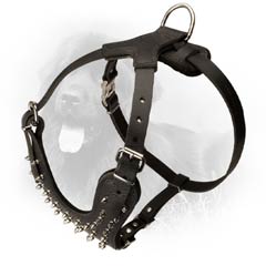 Newfoundland Harness with Rustproof Hardware