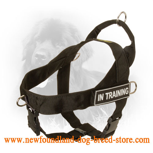 Multifunctional Nylon Rottweiler Harness with ID Patches [H17