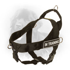 Newfoundland Harness Extra Lightweight