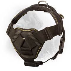 Newfoundland Harness with Soft Chest Plate