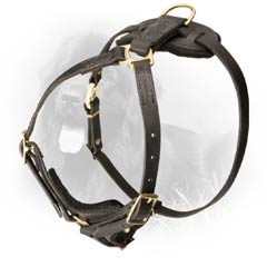 Stylish chest leather newfoundland dog harness
