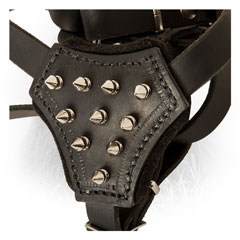 Nickel Spikes on Leather Newfoundland Harness