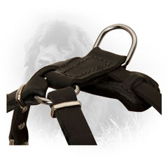 Reliable Hardware on Leather Newfoundland Harness
