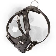 Amazing Durability Newfoundland Leather Dog Harness With Padding