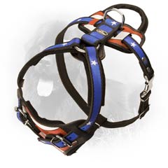 Newfoundland Dog Leather Harness With Hand Painted USA  Emblem