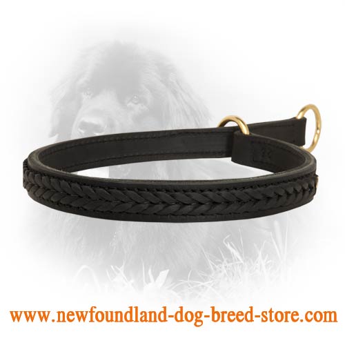 Gorgeous 2 Ply Leather Choke Newfoundland Dog Breed Collar - Click Image to Close