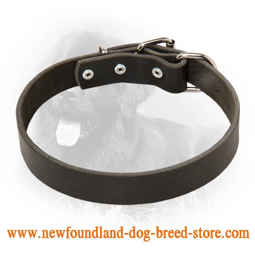 Newfoundland Leather Dog Collar For Pleasant Wearing
