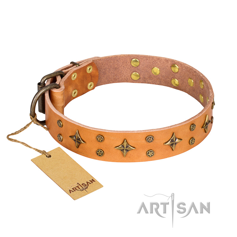 'Top-Flight' FDT Artisan Adorned Tan Leather Newfoundland Collar