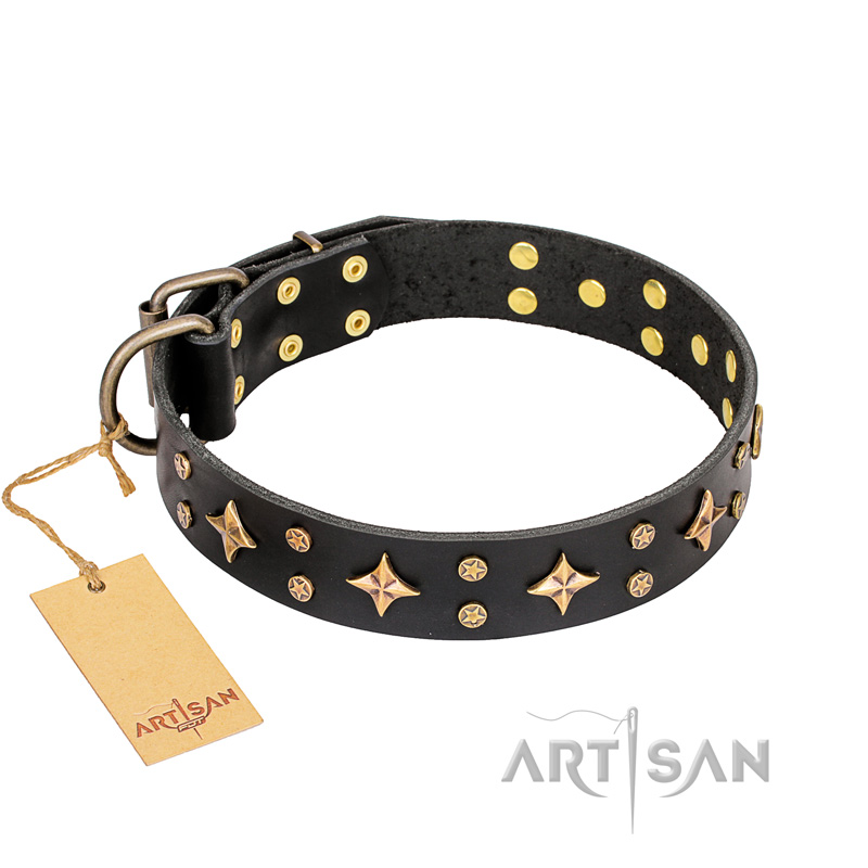 'A La Mode' FDT Artisan Handcrafted Black Leather Newfoundland Collar