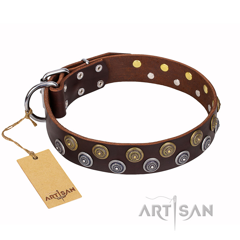 'Strong Shields' FDT Artisan Brown Leather Newfoundland Collar with 2 Rows of Round Brooches