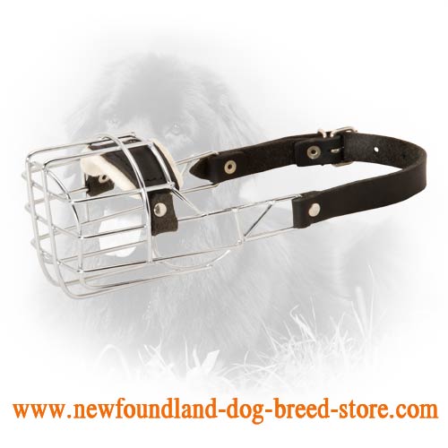 'The Silencer' Wire Cage Newfoundland Muzzle with One Strap
