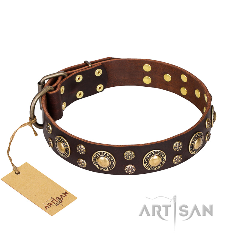 'Flower Melody' FDT Artisan Brown Leather Newfoundland Collar with Mixed Studs