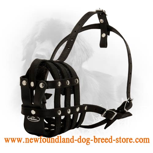 Everyday Lightweight Well Ventilated Leather Newfoundland Muzzle