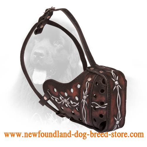 Barbed Wire Genuine Leather Newfoundland Muzzle