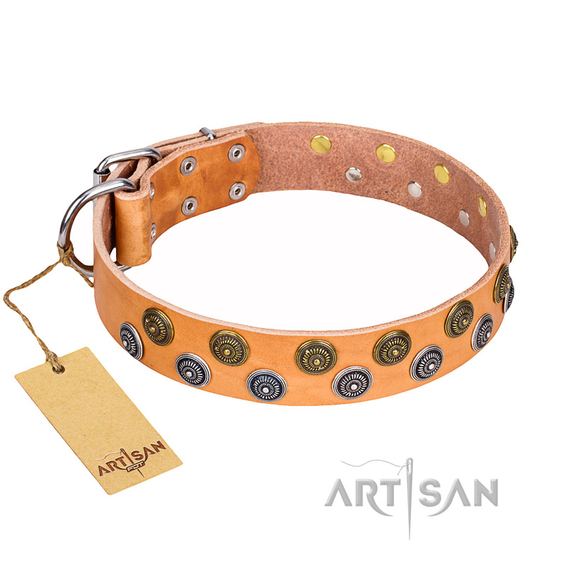 "Precious Sparkle" FDT Artisan Tan Leather Newfoundland Collar with Exclusive Decor