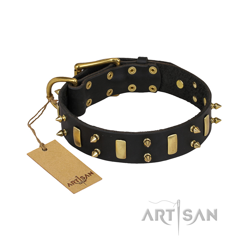 "Medieval Style" FDT Artisan Leather Newfoundland Collar with Brass Plates and Spikes