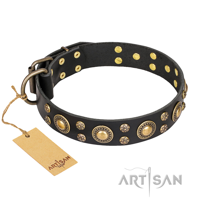 'Baroque Chic' FDT Artisan Studded Black Leather Newfoundland Dog Collar