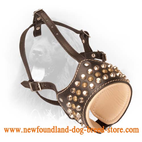 Stylish Anti-Barking Leather Newfoundland Muzzle with Studs