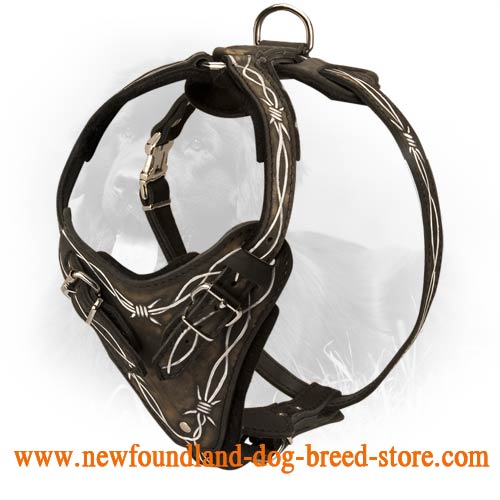 Walking / Training Newfoundland Harness with Barbed Wire Painting