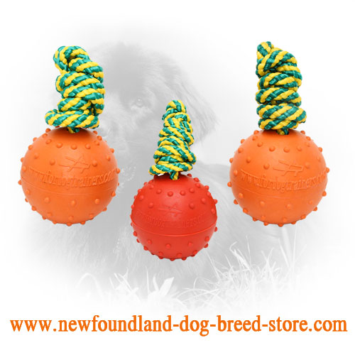 Medium Water Floating Rubber Newfoundland Ball for Training and Playing
