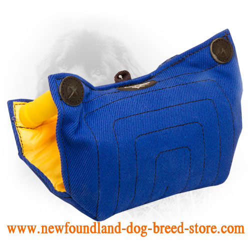 French Linen Newfoundland Bite Builder for Basic Puppy Training