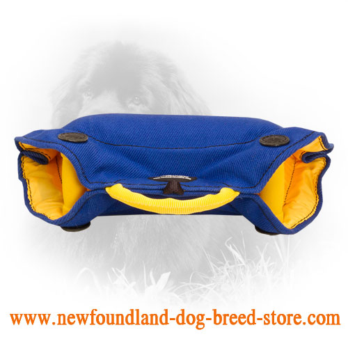French Linen Newfoundland Bite Builder for Puppies