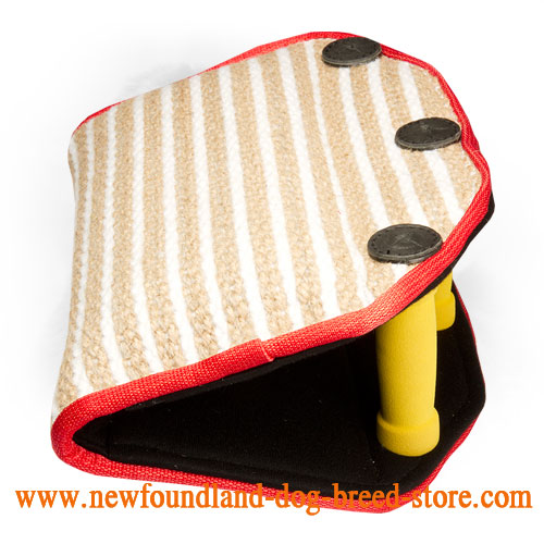 Jute Newfoundland Bite Builder for Puppy Training