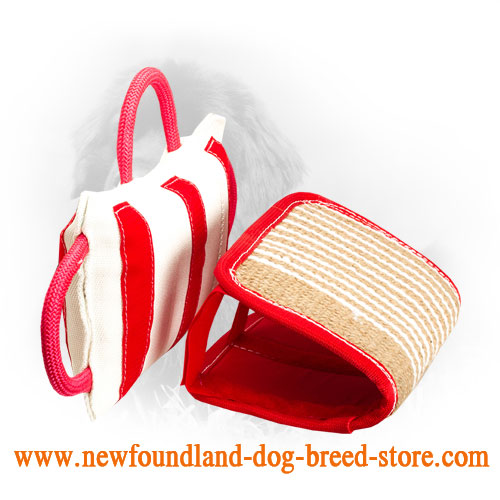 Newfoundland Bite Pillow with Removable Jute Cover