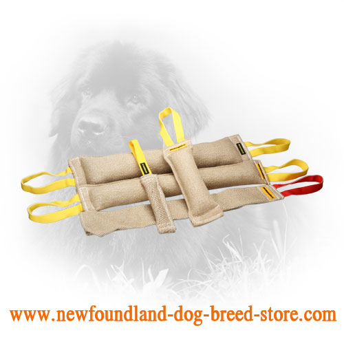 Jute Newfoundland Bite Training Set of 5 Tugs for Adult Dogs