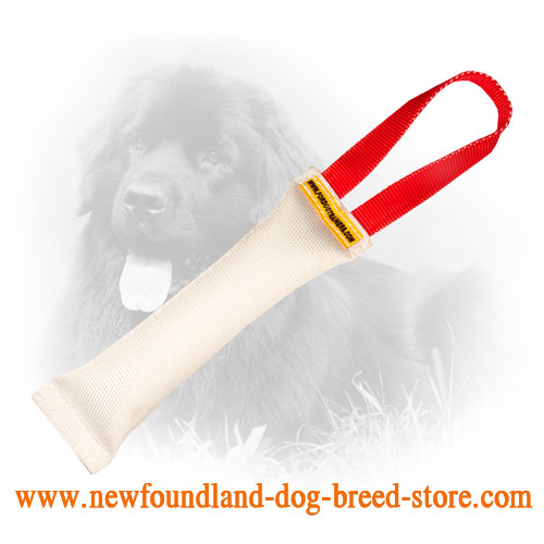 Fire Hose Newfoundland Bite Tug for Puppy Training