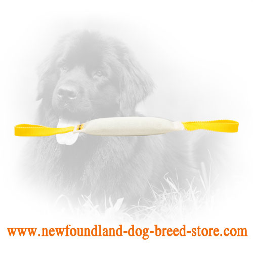 Fire Hose Newfoundland Bite Tug with Comfortable Nylon Handles