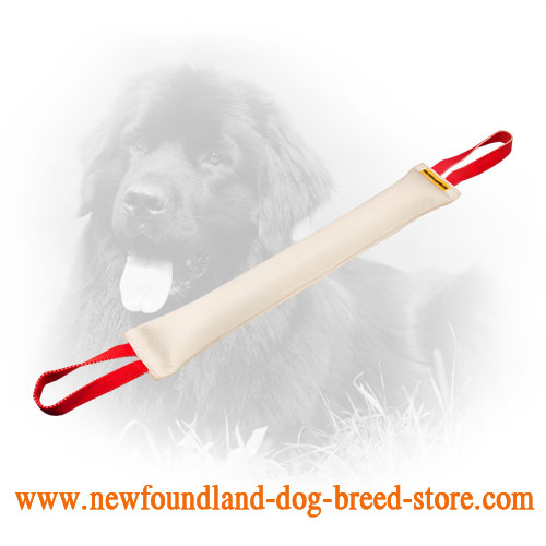 Large Fire Hose Newfoundland Bite Tug for Training of Grown Up Dogs