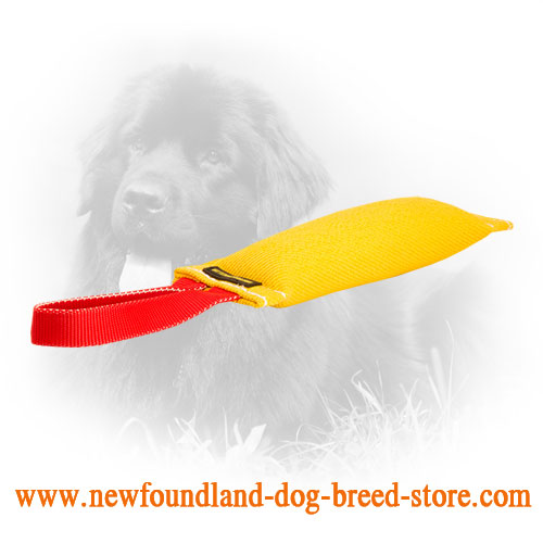 Dog-Friendly French Linen Newfoundland Bite Tug for Bite Work