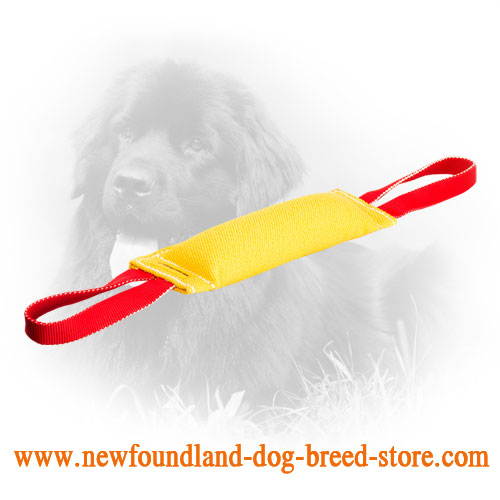 French Linen Newfoundland Bite Tug with 2 Handles