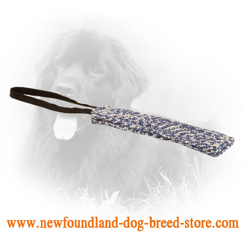 French Linen Newfoundland Bite Tug for Puppies