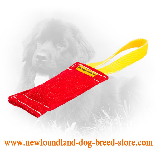 French Linen Newfoundland Bite Tug for Basic Puppy Training - Click Image to Close