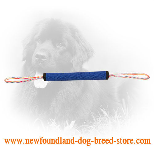 French Linen Newfoundland Bite Roll for Puppies