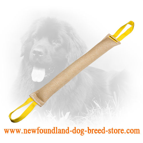 Long Jute Newfoundland Bite Tug for Bite Skills Improving