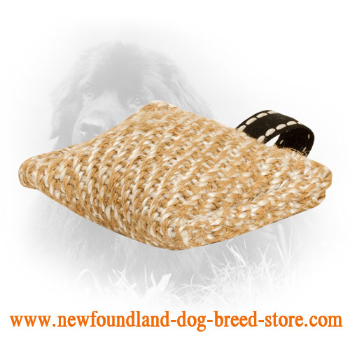 Pocket Size Jute Newfoundland Bite Tug