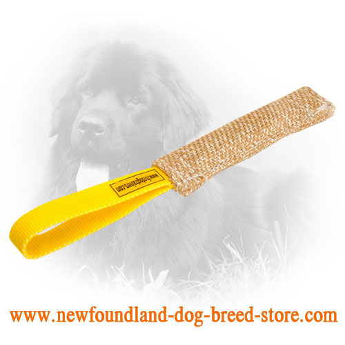 Jute Newfoundland Bite Tug with Handle for Puppy Training