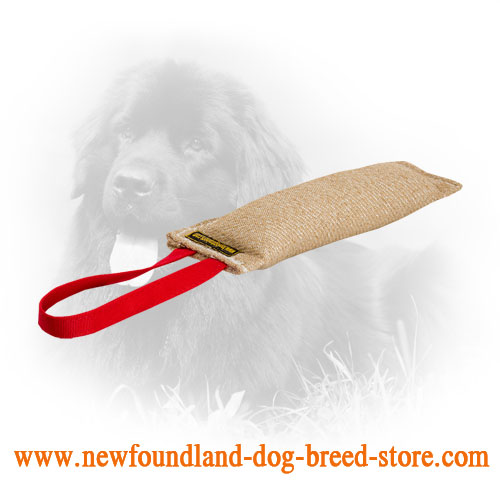 Jute Newfoundland Bute Tug for Puppy Training