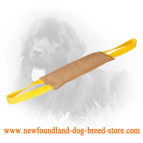 Large Leather Newfoundland Bite Tug with 2 Handles
