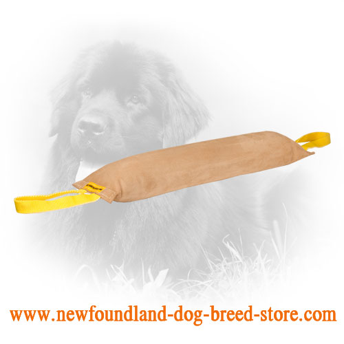 Big Leather Newfoundland Bite Tug with Comfy Handles